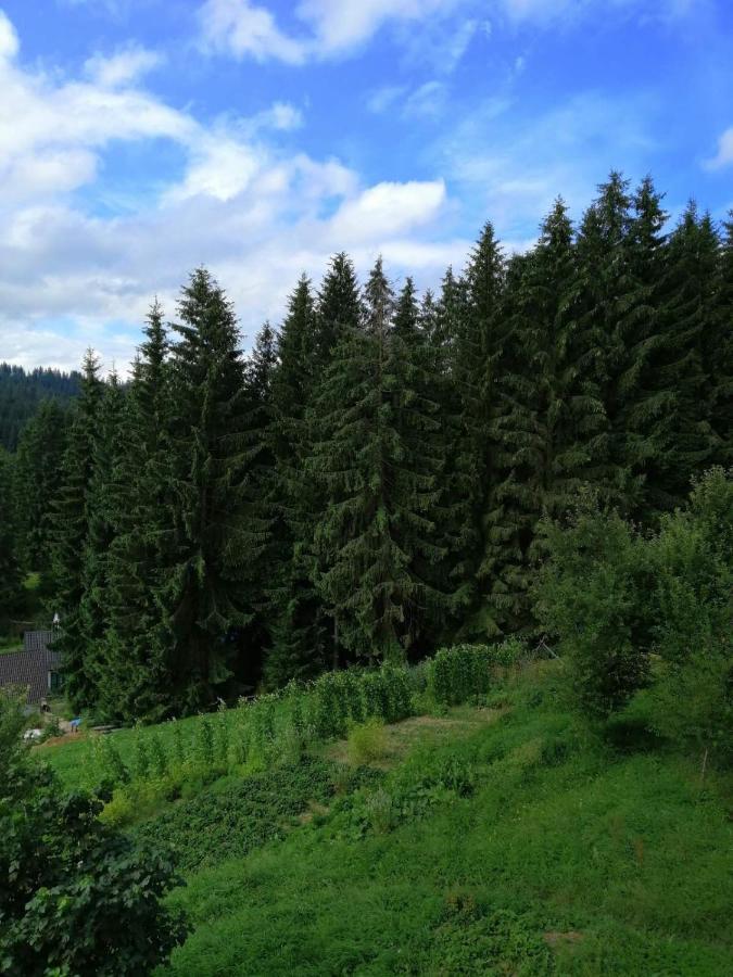 Marichka Hotel Yablunytsya Bagian luar foto
